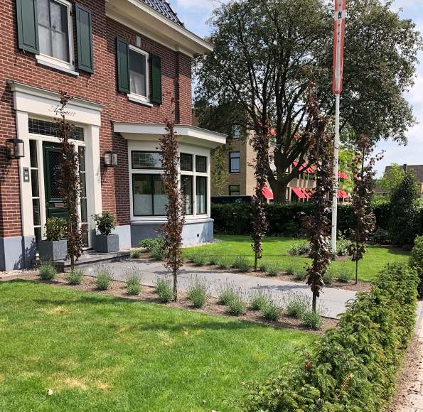 Tuinontwerp laten maken door de hovenier